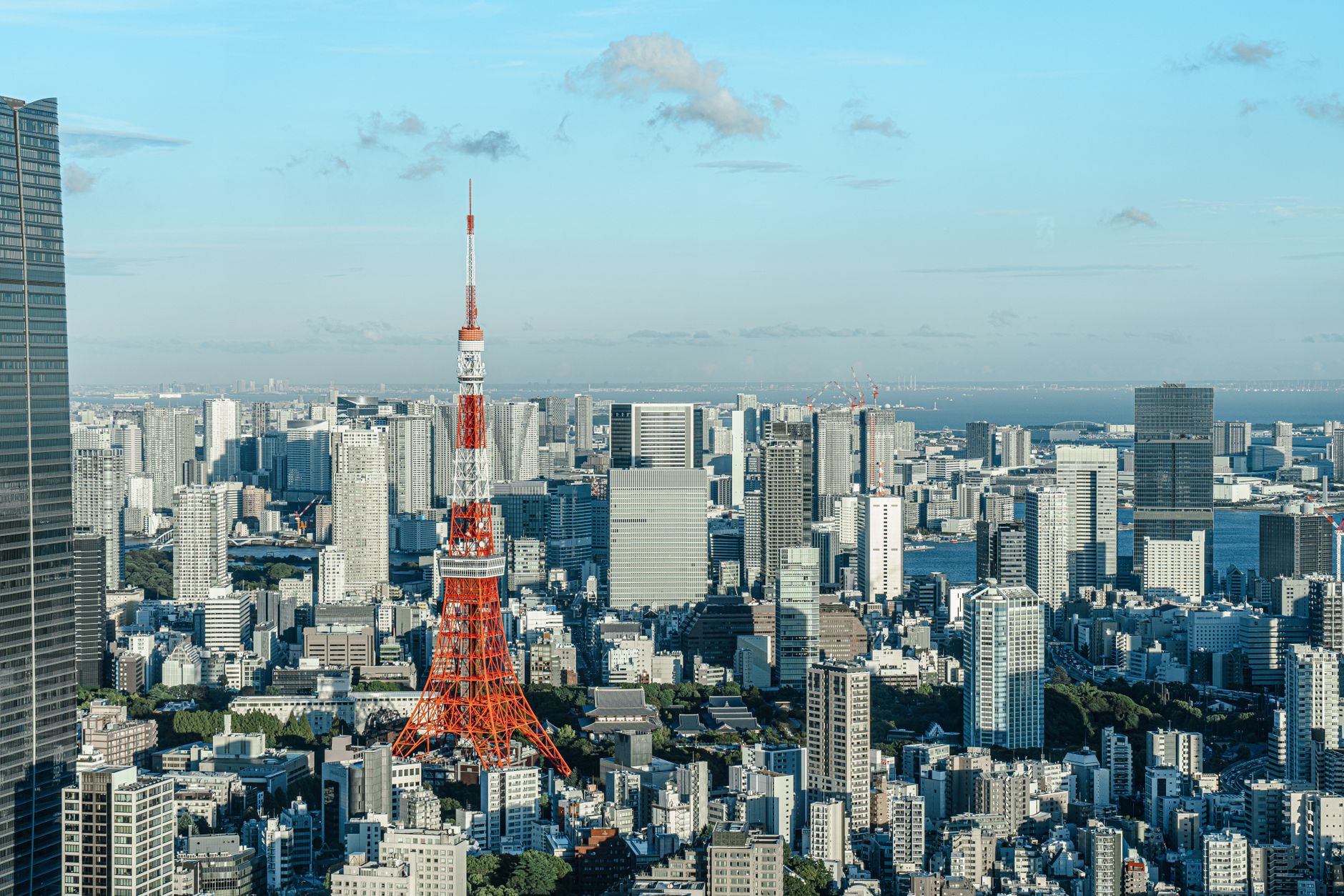 tokyo tower and cityscape aerial view in tokyo