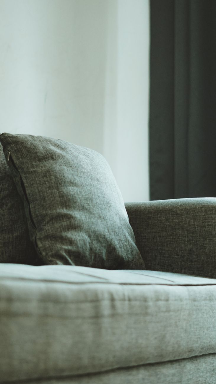 cozy gray sofa in minimalist living room